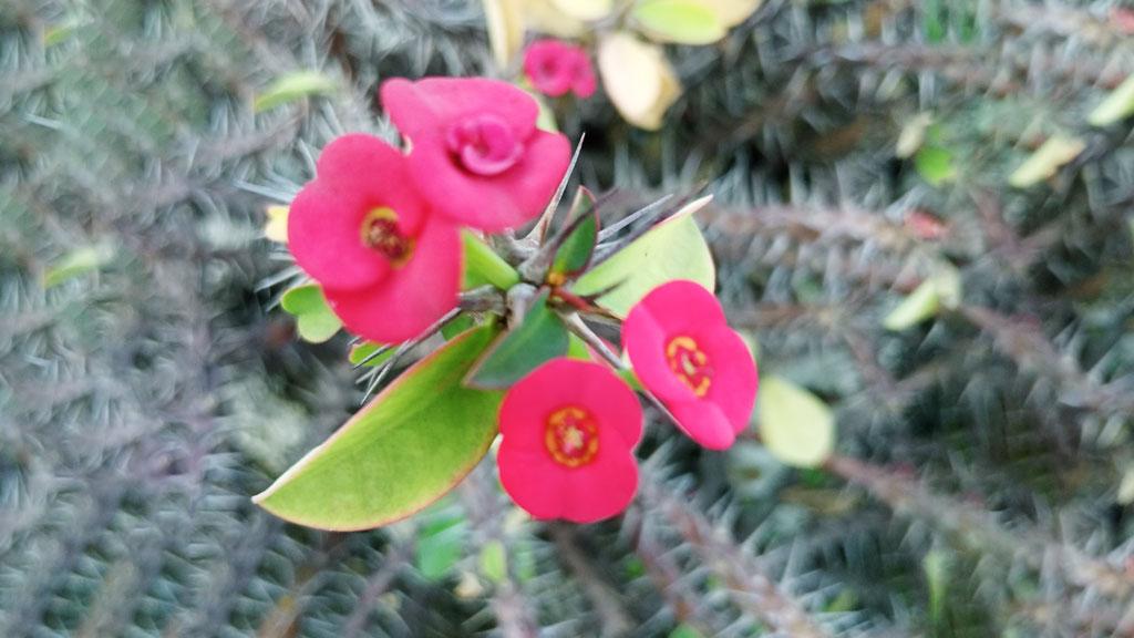 দিনের ছবি (০৬ সেপ্টেম্বর, ২০২৫)